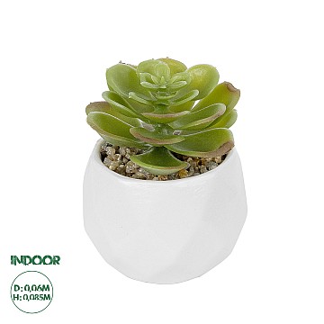 Τεχνητός Κήπος Succulent Echeveria Potted Plant Glint® Διακοσμητικό Φυτό Εχεβέρια Φ6 X Υ8,5Cm