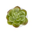 Τεχνητός Κήπος Succulent Echeveria Potted Plant Glint® Διακοσμητικό Φυτό Εχεβέρια Φ6 X Υ8,5Cm