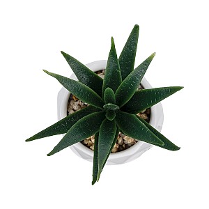 Τεχνητός Κήπος Succulent Aloe Potted Plant Glint® Διακοσμητικό Φυτό Αλόη Φ8 X Υ12Cm