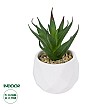 Τεχνητός Κήπος Succulent Aloe Potted Plant Glint® Διακοσμητικό Φυτό Αλόη Φ8 X Υ12Cm