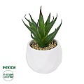 Τεχνητός Κήπος Succulent Aloe Potted Plant Glint® Διακοσμητικό Φυτό Αλόη Φ8 X Υ12Cm