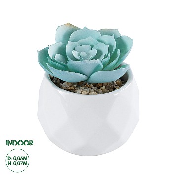 Τεχνητός Κήπος Succulent Echeveria Glint® Διακοσμητικό Φυτό Παχύφυτο Εχεβέρια Υ7Cm