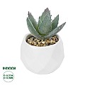 Τεχνητός Κήπος Succulent Aloe Potted Plant Glint® Διακοσμητικό Φυτό Αλόη  Φ7 X Υ9Cm