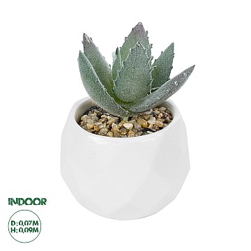 Τεχνητός Κήπος Succulent Aloe Potted Plant Glint® Διακοσμητικό Φυτό Αλόη  Φ7 X Υ9Cm