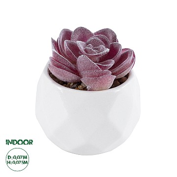 Τεχνητός Κήπος Succulent Echeveria Glint® Διακοσμητικό Φυτό Παχύφυτο Εχεβέρια Υ7.5Cm