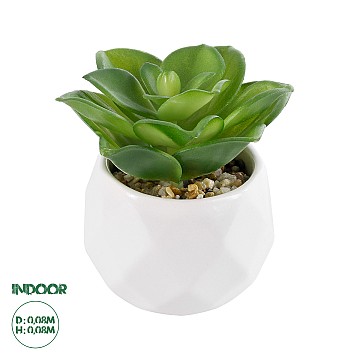 Τεχνητός Κήπος Succulent Echeveria Glint® Διακοσμητικό Φυτό Παχύφυτο Εχεβέρια Υ8Cm