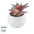 Τεχνητός Κήπος Succulent Aloe Glint® Διακοσμητικό Φυτό Παχύφυτο Αλόη Υ10Cm