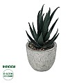 Τεχνητός Κήπος Succulent Aloe Potted Plant Glint® Διακοσμητικό Φυτό Αλόη  Φ7 X Υ14Cm