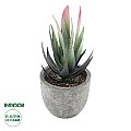 Τεχνητός Κήπος Succulent Aloe Glint® Διακοσμητικό Φυτό Παχύφυτο Αλόη Υ14Cm