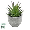 Τεχνητός Κήπος Succulent Aloe Glint® Διακοσμητικό Φυτό Παχύφυτο Αλόη Υ11Cm