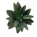 Τεχνητός Κήπος Succulent Aloe Glint® Διακοσμητικό Φυτό Παχύφυτο Αλόη Υ13Cm