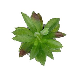 Τεχνητός Κήπος Succulent Aloe Potted Plant Glint® Διακοσμητικό Φυτό Αλόη  Φ9 X Υ13Cm