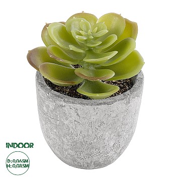 Τεχνητός Κήπος Succulent Sedeveria Glint® Διακοσμητικό Φυτό Παχύφυτο Σεντεβέρια Υ8.5Cm