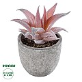 Τεχνητός Κήπος Succulent Aloe Glint® Διακοσμητικό Φυτό Παχύφυτο Αλόη Υ11Cm