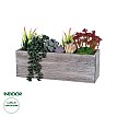 Τεχνητός Κήπος Succulent Varius Plant Potted Glint® Διακοσμητικό Φυτό Μίξ Μ32 X Υ29Cm