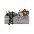 Τεχνητός Κήπος Succulent Varius Plant Potted Glint® Διακοσμητικό Φυτό Μίξ Μ32 X Υ29Cm