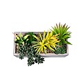 Τεχνητός Κήπος Succulent Varius Plant Potted Glint® Διακοσμητικό Φυτό Μίξ Μ25 X Υ22Cm