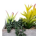 Τεχνητός Κήπος Succulent Varius Plant Potted Glint® Διακοσμητικό Φυτό Μίξ Μ25 X Υ22Cm