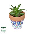 Τεχνητός Κήπος Succulent Aloe Potted Plant 210340 Διακοσμητικό Φυτό Αλόη Φ9 X Υ14Cm