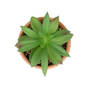 Τεχνητός Κήπος Succulent Aloe Potted Plant 210340 Διακοσμητικό Φυτό Αλόη Φ9 X Υ14Cm