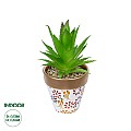 Τεχνητός Κήπος Succulent Aloe Potted Plant Glint® Διακοσμητικό Φυτό Αλόη Φ12 X Υ16Cm