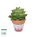 Τεχνητός Κήπος Succulent Echeveria Potted Plant 20948 Διακοσμητικό Φυτό Εχεβέρια Φ13 X Υ18Cm