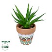 Τεχνητός Κήπος Succulent Aloe Potted Plant Glint® Διακοσμητικό Φυτό Αλόη  Φ15 X Υ19Cm