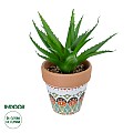 Τεχνητός Κήπος Succulent Aloe Potted Plant Glint® Διακοσμητικό Φυτό Αλόη  Φ15 X Υ19Cm