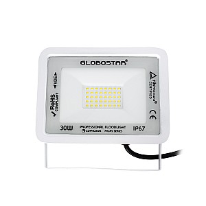 Atlas Glint® Επαγγελματικός Προβολέας Led 30W 3600Lm 120° Ac 220-240V - Αδιάβροχος Ip67 - Μ16 X Π2.5 X Υ12.5Cm - Λευκό - Φυσικό Λευκό 4500K - Lumileds Chips - Tüv Rheinland Certified