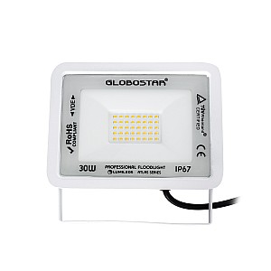 Atlas Glint® Επαγγελματικός Προβολέας Led 30W 3450Lm 120° Ac 220-240V - Αδιάβροχος Ip67 - Μ16 X Π2.5 X Υ12.5Cm - Λευκό - Θερμό Λευκό 2700K - Lumileds Chips - Tüv Rheinland Certified