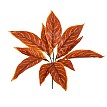 Aglaonema Orange Glint® Τεχνητό Φυτό Αγλαόνημα Πορτ. - Μπουκέτο Διακοσμητικών Φυτών - Κλαδιών Με Φύλλωμα Πορτοκαλί Υ30Cm