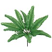 Boston Fern Small Glint® Τεχνητό Φυτό Φτέρη Βοστώνης Μικρή - Μπουκέτο Διακοσμητικών Φυτών - Κλαδιών Με Φύλλωμα Πράσινο Υ30Cm