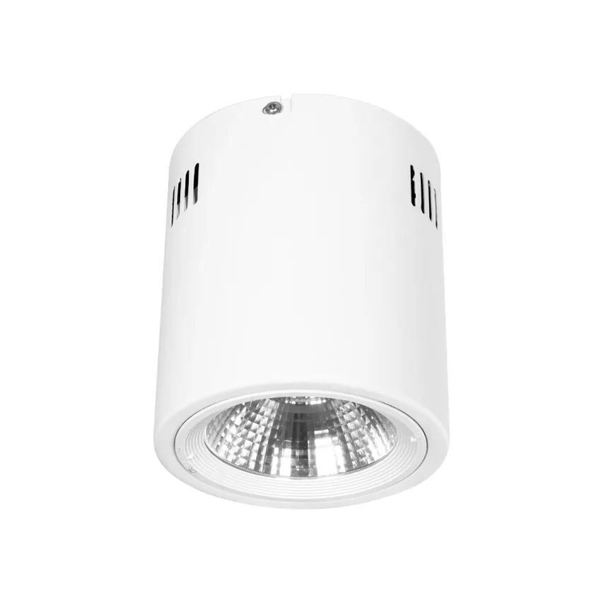 Φωτιστικό Σποτ Οροφής Downlight 15W 1500lm 24° AC 220-240V IP20 Θερμό Λευκό 3000K