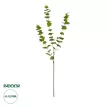 Τεχνητός Κήπος EUCALYPTUS BRANCH  Τεχνητό Διακοσμητικό Κλαδί Ευκάλυπτου Πράσινο Π30 x Μ30 x Υ80m