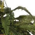 Τεχνητός Κήπος FERN HANGING   Τεχνητό Κρεμαστό Διακοσμητικό Φυτό Φτέρης Π90 x Μ90 x Y70cm