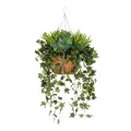 Τεχνητός Κήπος VARIOUS HANGING   Τεχνητό Κρεμαστό Διακοσμητικό Φυτό Φτέρης Π60 x Μ60 x Y70cm