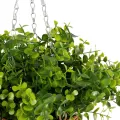 Τεχνητός Κήπος EUCALYPTUS HANGING   Τεχνητό Κρεμαστό Διακοσμητικό Φυτό Φτέρης Π45 x Μ45 x Y30cm