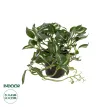Τεχνητός Κήπος ZEBRINA   Διακοσμητικό Φυτό Ζεμπρίνα Φ45 x Υ22cm