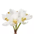 Τεχνητός Κήπος WHITE ORCHID BOUQUET  Τεχνητό Διακοσμητικό Μπουκέτο Λευκής Ορχιδέας Y26cm