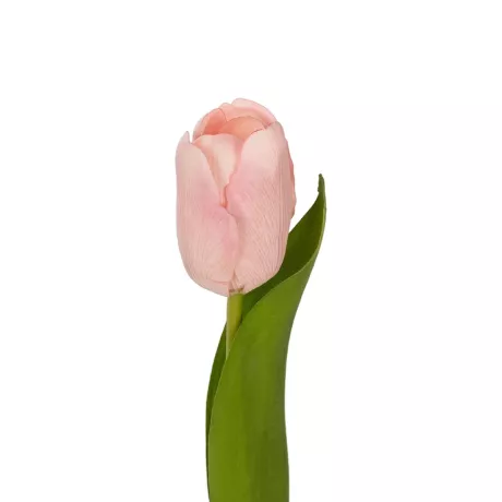 Τεχνητός Κήπος PINK TULIP BRANCH  Τεχνητό Διακοσμητικό Κλαδί Ροζ Τουλίπα Y37cm