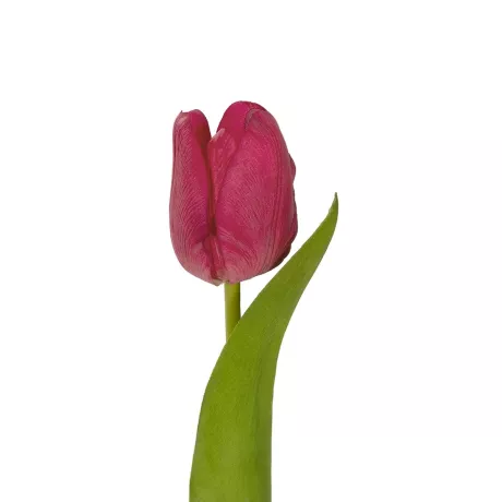 Τεχνητός Κήπος HOT PINK TULIP BRANCH  Τεχνητό Διακοσμητικό Κλαδί Έντονο Ροζ Τουλίπα Y37cm