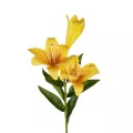 Τεχνητός Κήπος YELLOW LILLY BRANCH  Τεχνητό Διακοσμητικό Κλαδί Κίτρινο Κρίνο Y72cm