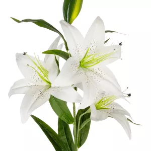 Τεχνητός Κήπος WHITE LILLY BRANCH  Τεχνητό Διακοσμητικό Κλαδί Λευκό Κρίνο Y95cm