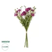 Τεχνητός Κήπος PURPLE CHRYSANTHEMUM BOUQUET  Τεχνητό Διακοσμητικό Μπουκέτο Μωβ Χρυσάνθεμο Y50cm