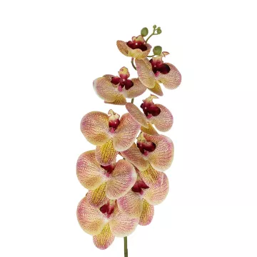 Τεχνητός Κήπος PING SALMON ORCHID BRANCH  Τεχνητό Διακοσμητικό Κλαδί  Ροζ Ορχιδέα Y95cm