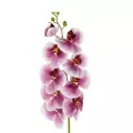 Τεχνητός Κήπος PINK ORCHID BRANCH  Τεχνητό Διακοσμητικό Κλαδί Ροζ Ορχιδέα Y95cm