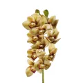Τεχνητός Κήπος CHAMPAGNE CYMBIDIUM BRANCH  Τεχνητό Διακοσμητικό Κλαδί Σαμπανί Κυμβίδιο  Y75cm