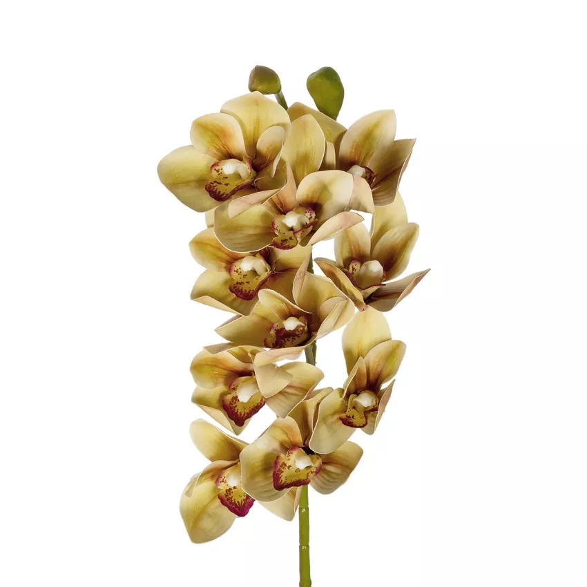 Τεχνητός Κήπος CHAMPAGNE CYMBIDIUM BRANCH  Τεχνητό Διακοσμητικό Κλαδί Σαμπανί Κυμβίδιο  Y75cm