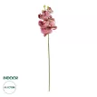 Τεχνητός Κήπος  PINK ORCHID  BRANCH  Τεχνητό Διακοσμητικό Κλαδί Ροζ Ορχιδέα Y70cm