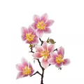 Τεχνητός Κήπος PING MAGNOLIA BRANCH  Τεχνητό Διακοσμητικό Κλαδί Ροζ Μαγνόλια Y57cm